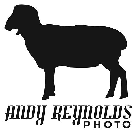 ANDY REYNOLDS PHOTO